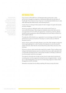 Sales Management Essentials Volume 7 – Sales Incentives and Performance Management - Image 2