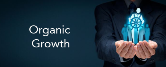 Is an Organic Growth Strategy a better way to go?