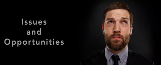 What are the biggest sales issues & opportunities for CEOs & Sales Leaders?