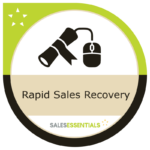 SEO_Rapid Sales Recovery