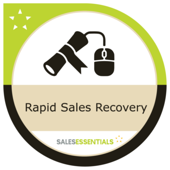 SEO_Rapid Sales Recovery